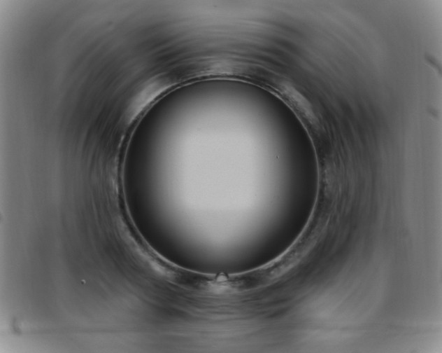 X0000097890794200803141332
