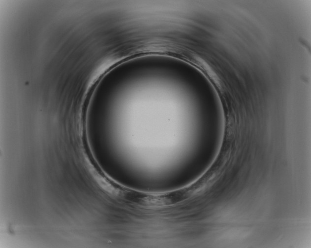 X0000097890795200803141332