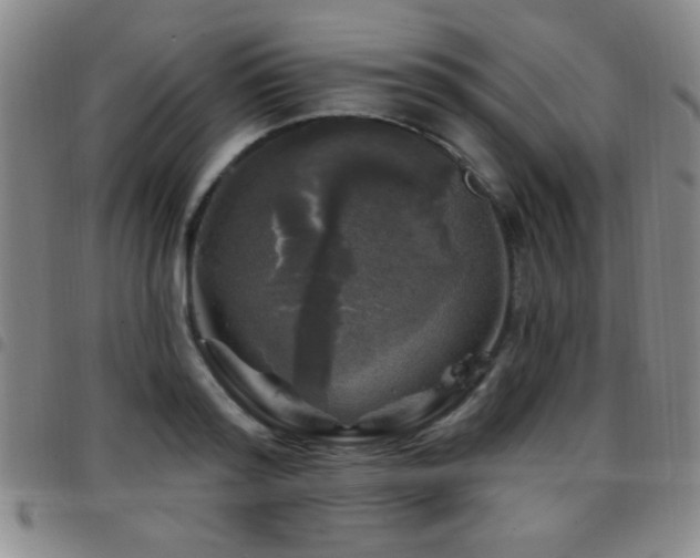 X0000097890796200803141332