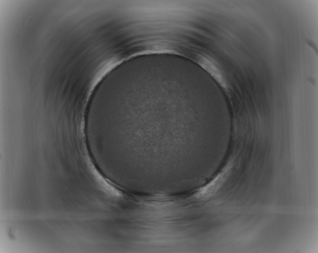 X0000097890797200803141332