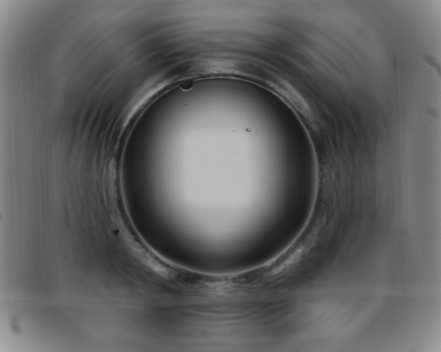 X0000097890798200803141332