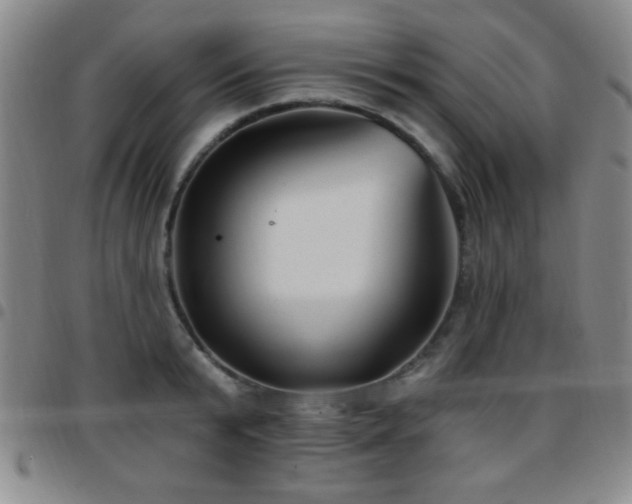 X0000097890799200803141332