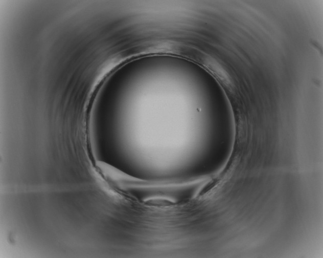X0000097890800200803141332