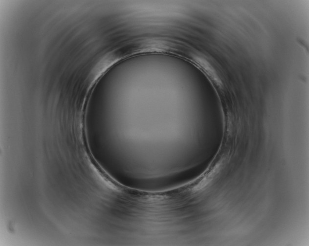 X0000097890802200803141332