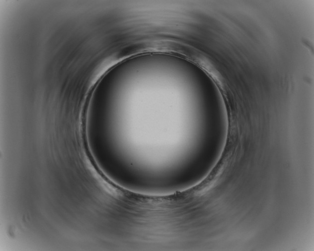 X0000097890803200803141332