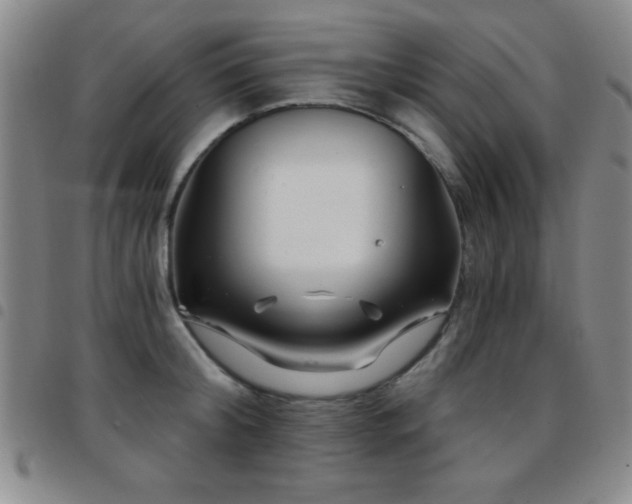 X0000097890804200803141332