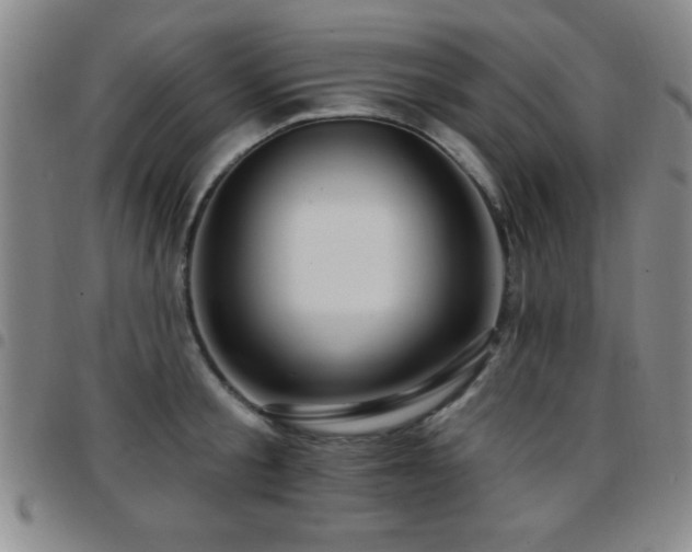 X0000097890805200803141332