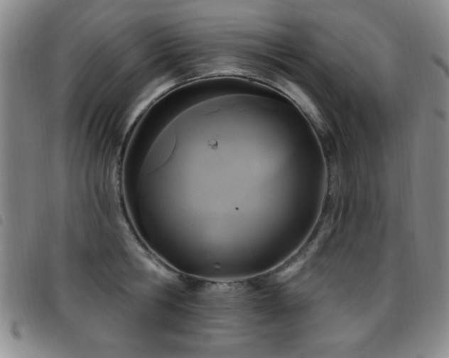 X0000097890806200803141331