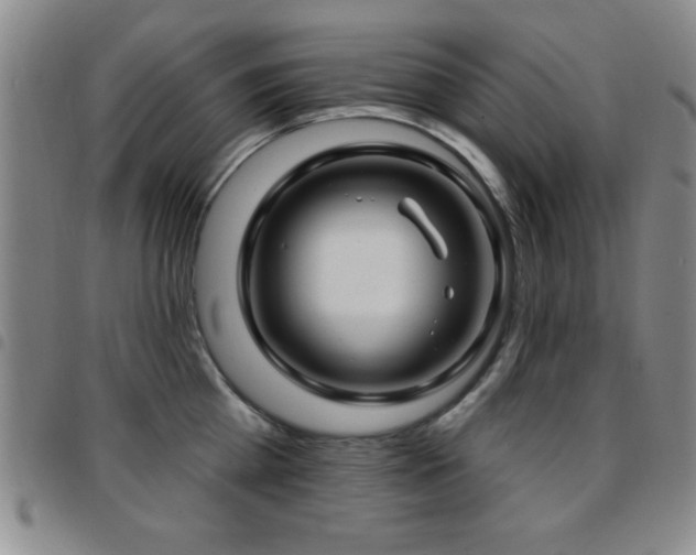X0000097890809200803141331