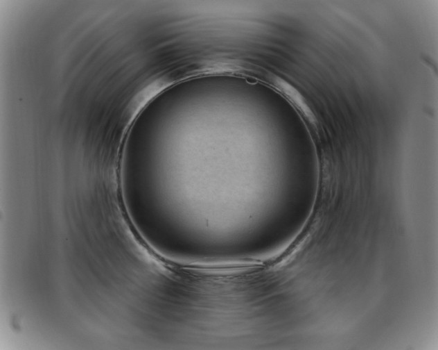 X0000097890810200803141331