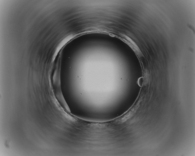 X0000097890812200803141331