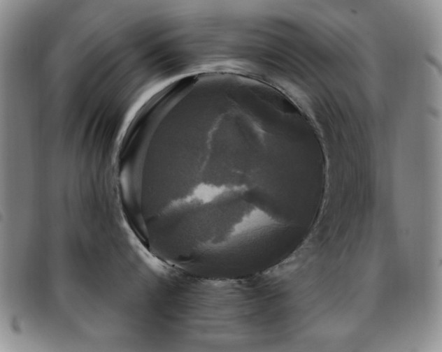 X0000097890816200803141331
