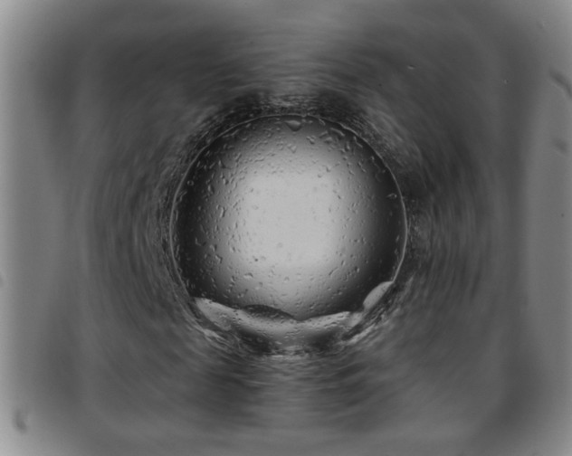X0000097890817200803141331