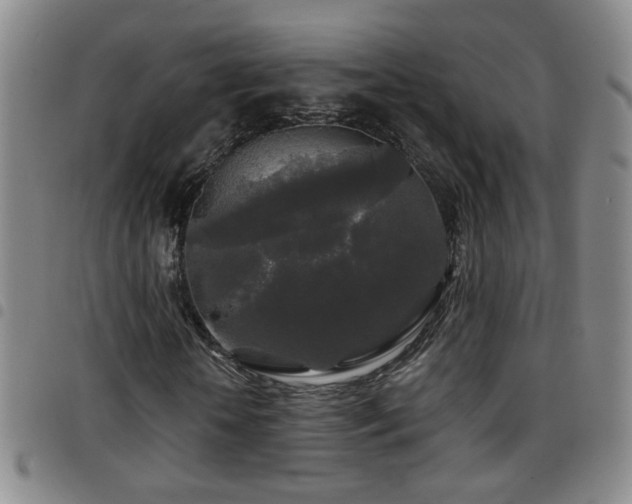 X0000097890818200803141331