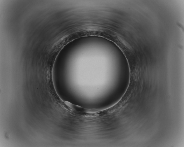 X0000097890821200803141331