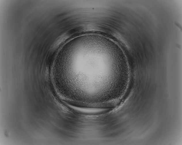 X0000097890825200803141331