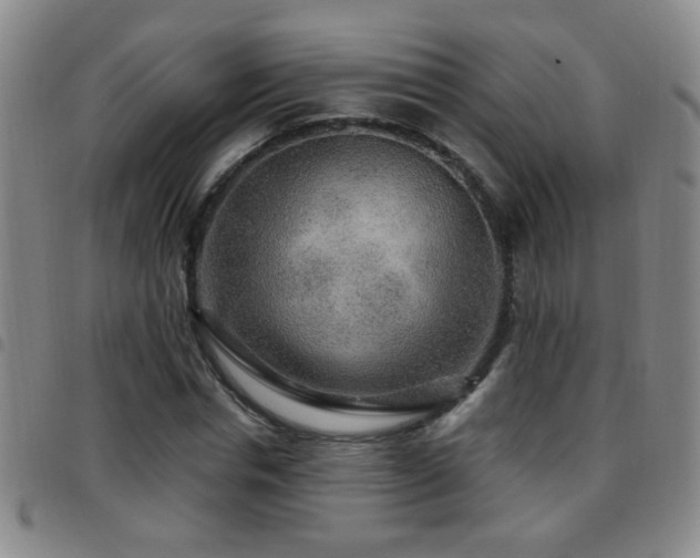 X0000097890826200803141331