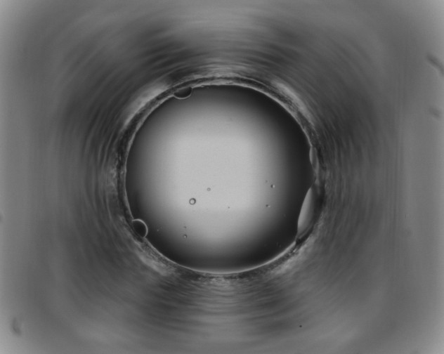 X0000097890827200803141331