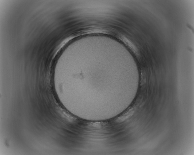 X0000097890828200803141331