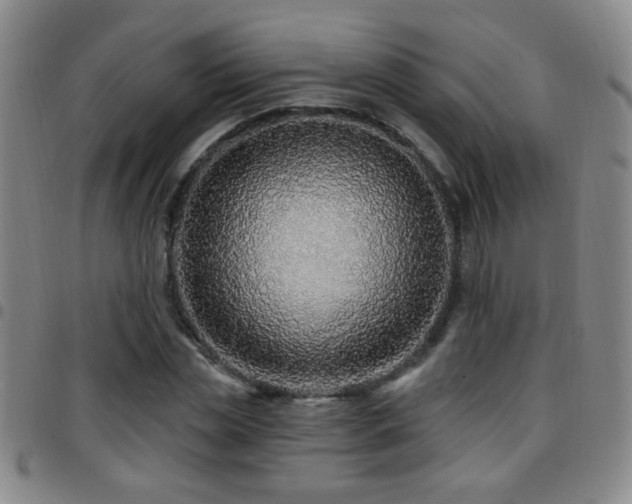 X0000097890829200803141331