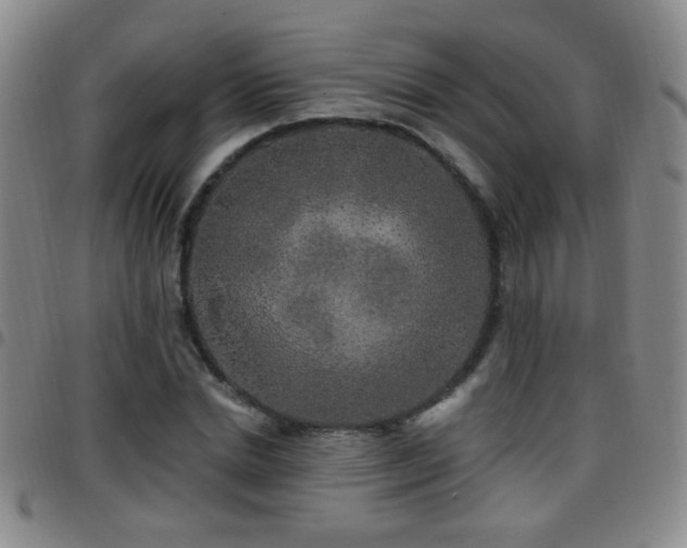 X0000097890830200803141331