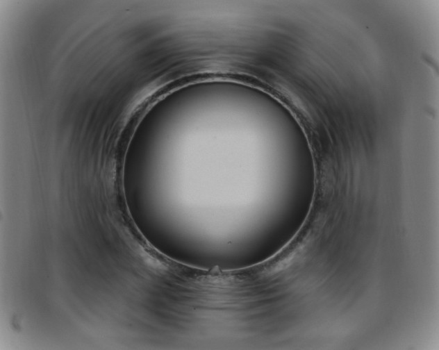 X0000097890831200803141331