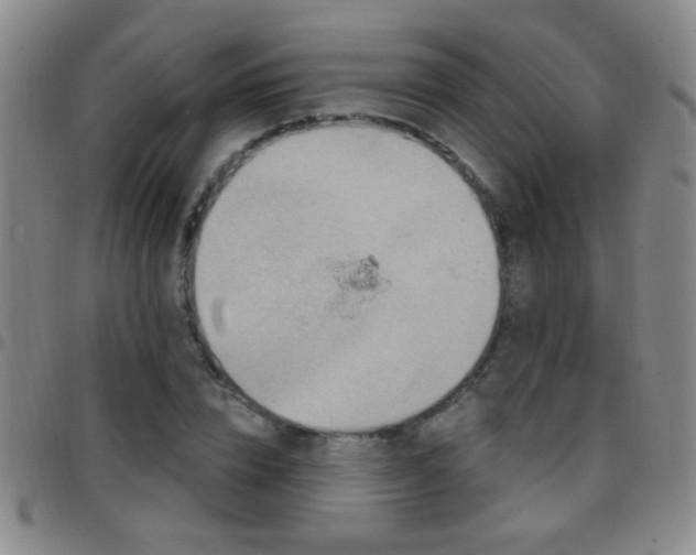 X0000097890832200803141331