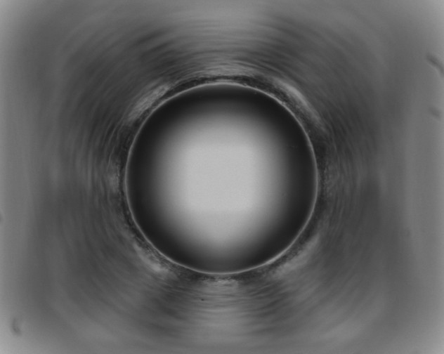 X0000097890833200803141331
