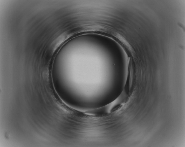 X0000097890834200803141331