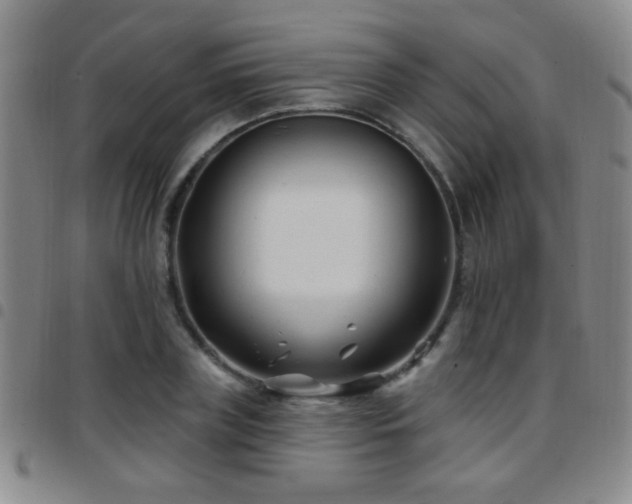 X0000097890835200803141331