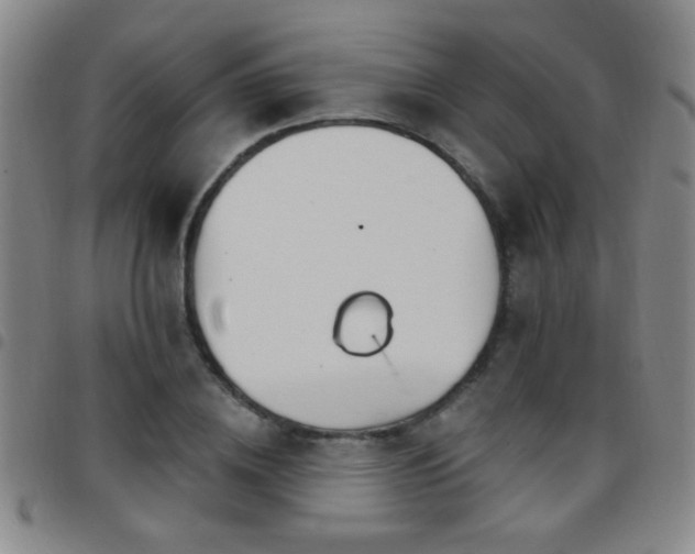 X0000097890836200803141331