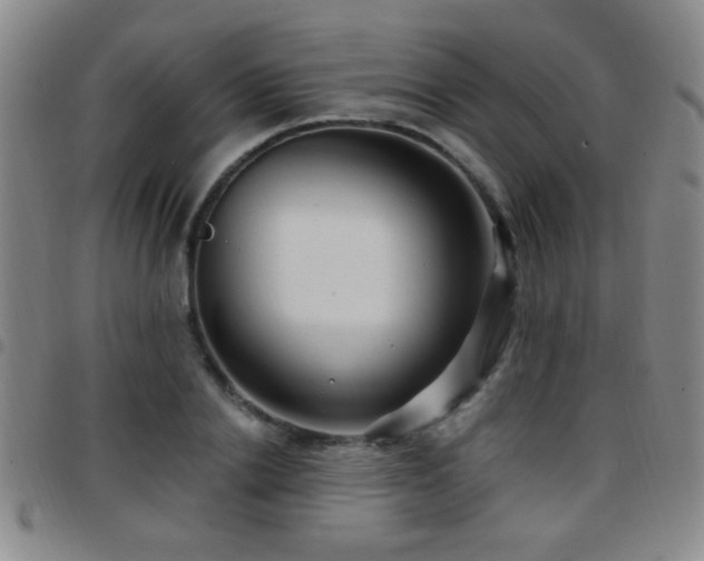 X0000097890838200803141331