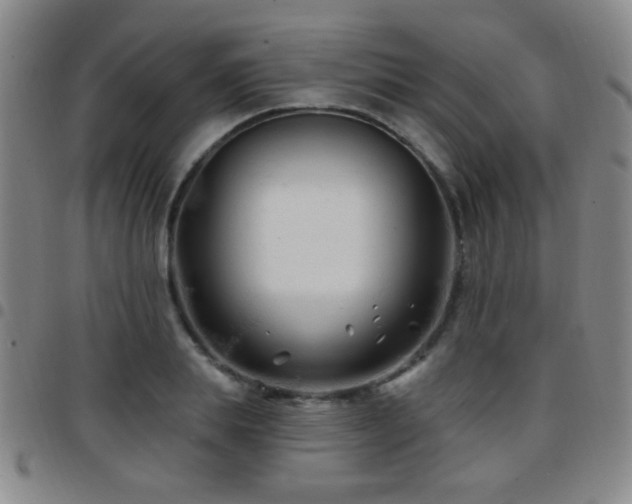 X0000097890839200803141331
