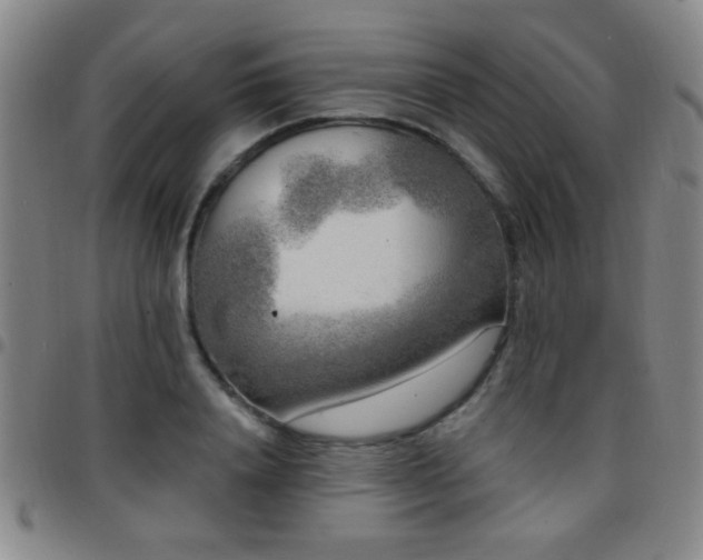 X0000097890840200803141331