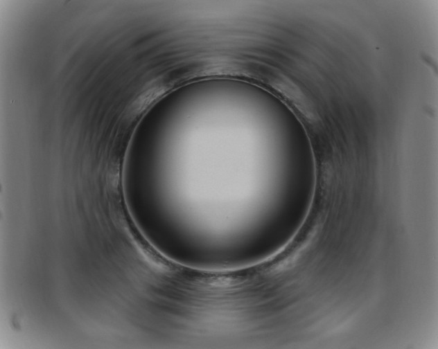 X0000097890841200803141331