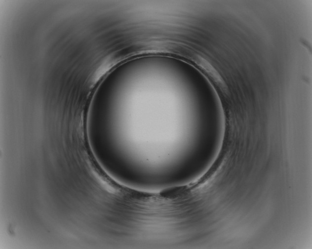 X0000097890842200803141331