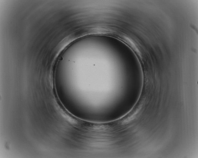 X0000097890843200803141331