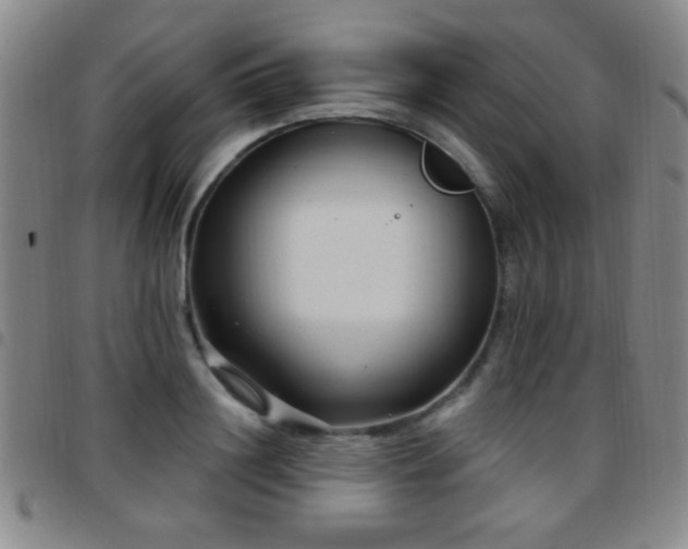 X0000097890844200803141331
