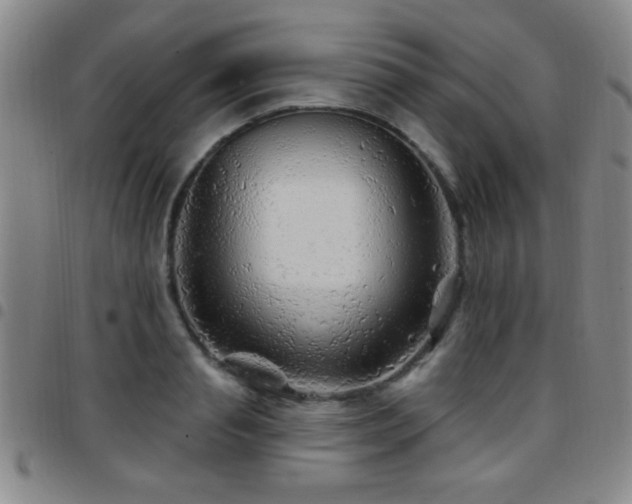 X0000097890845200803141331