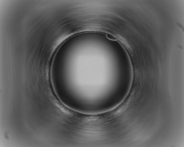 X0000097890846200803141331