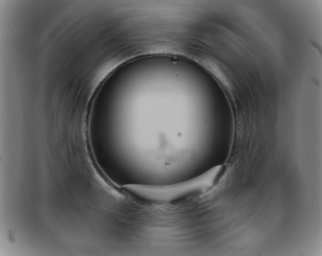 X0000097890847200803141331