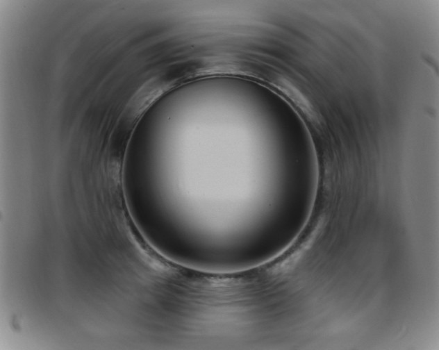 X0000097890849200803141331