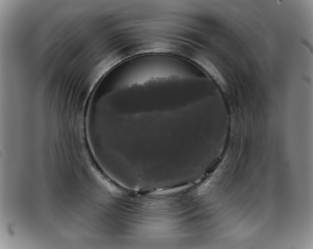 X0000097890850200803141331