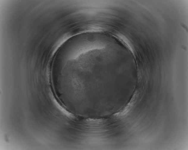 X0000097890851200803141331