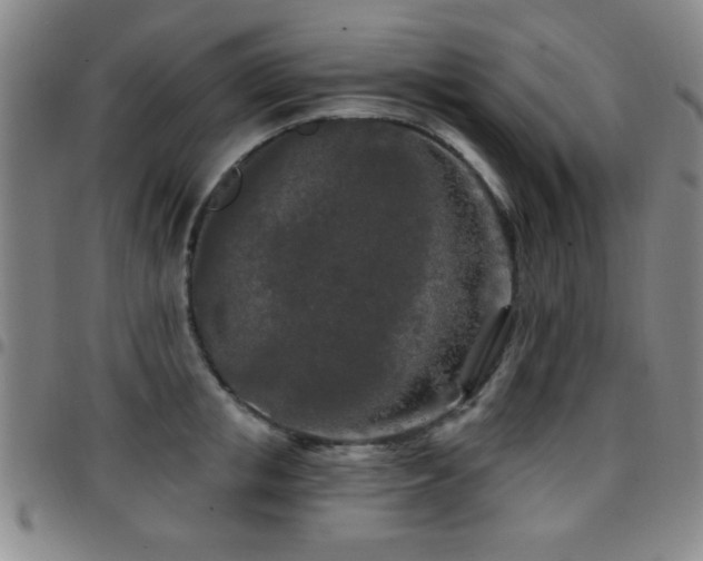 X0000097890853200803141331