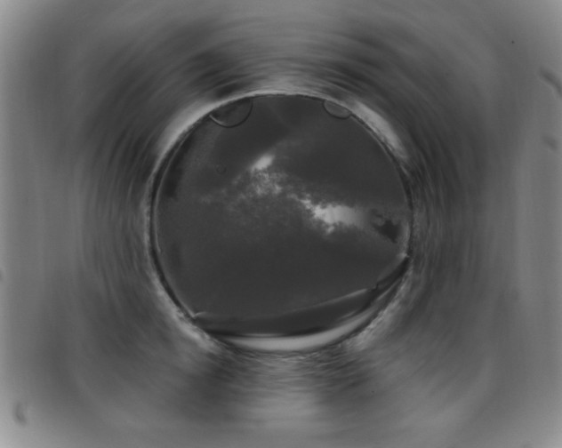 X0000097890854200803141331