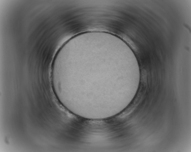 X0000097890856200803141331