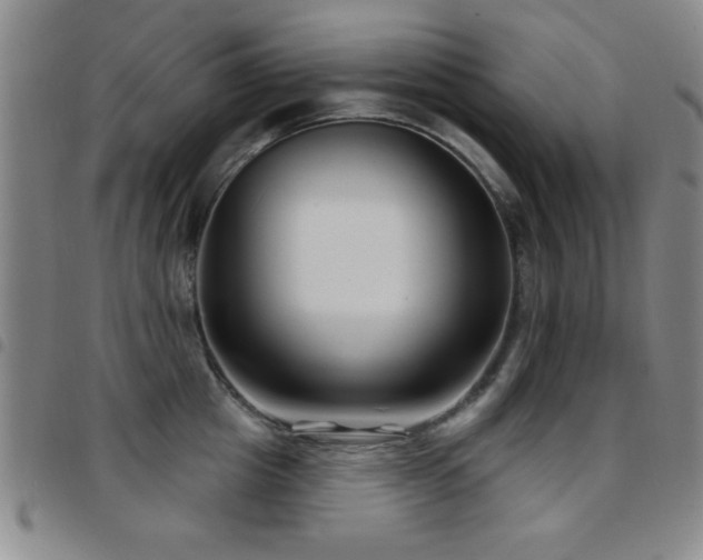 X0000097890857200803141331