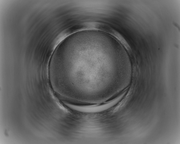 X0000097890858200803141331