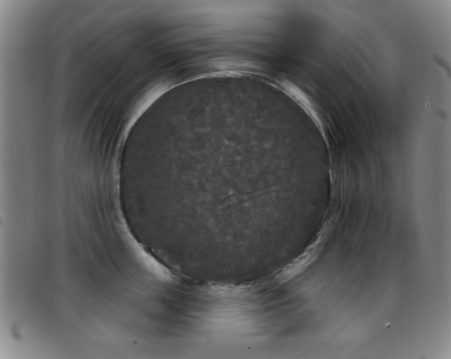 X0000097890859200803141331